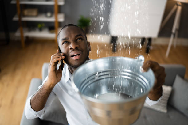 Best Flood restoration services  in Fayette, AL