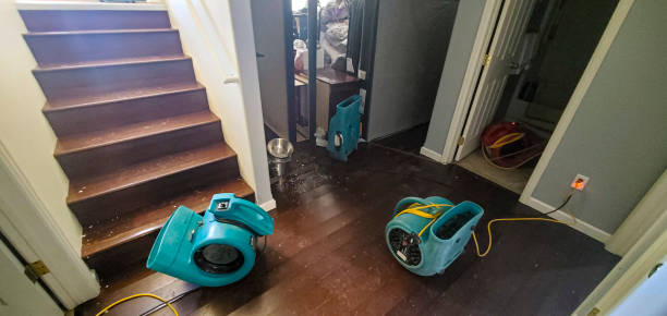 Best Local water damage restoration  in Fayette, AL