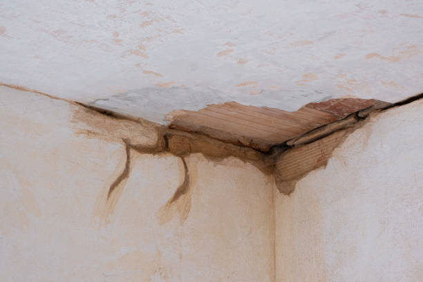 Best 24-hour water damage restoration  in Fayette, AL