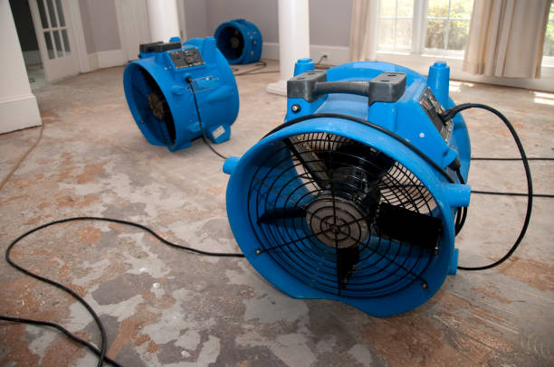Best 24/7 water damage repair  in Fayette, AL