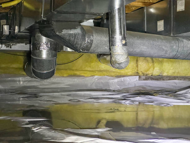 Best Professional water damage repair  in Fayette, AL