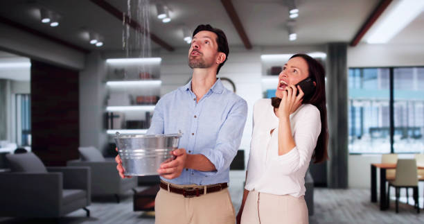 Best Commercial water damage restoration  in Fayette, AL